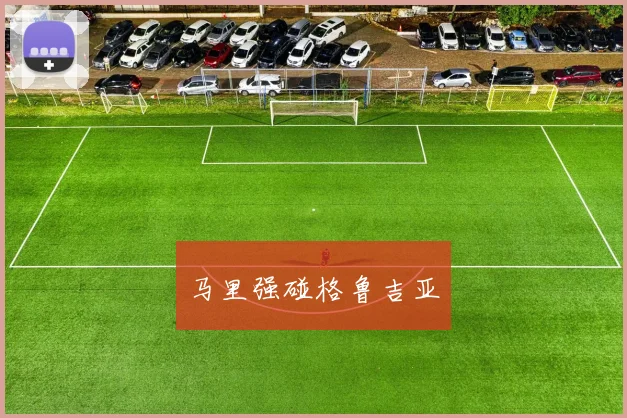 马里强碰格鲁吉亚