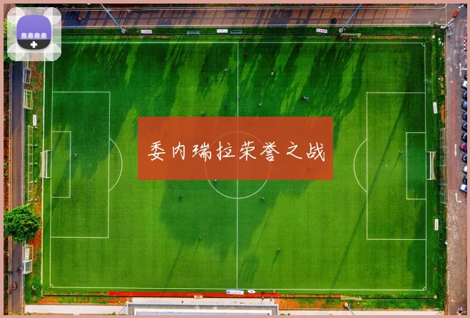 委内瑞拉荣誉之战