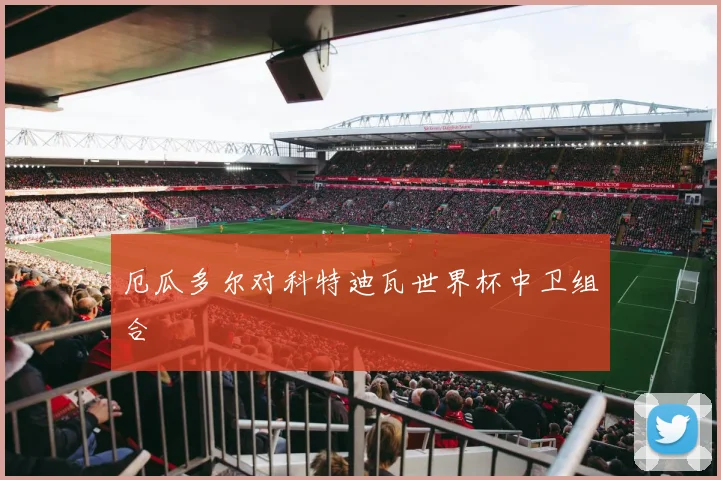 厄瓜多尔对科特迪瓦世界杯中卫组合