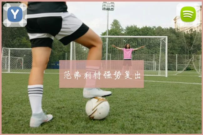 范弗利特强势复出