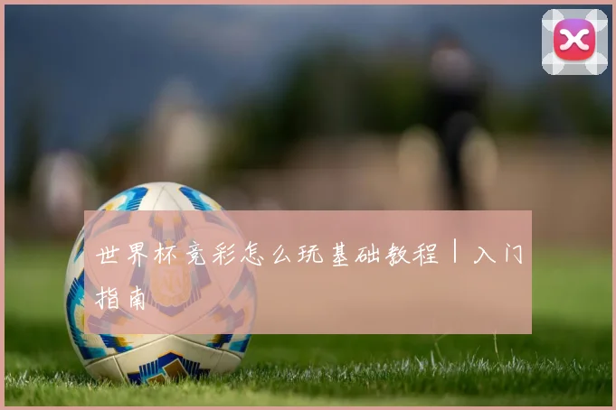 世界杯竞彩怎么玩基础教程|入门指南