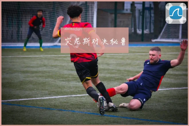 突尼斯对决秘鲁
