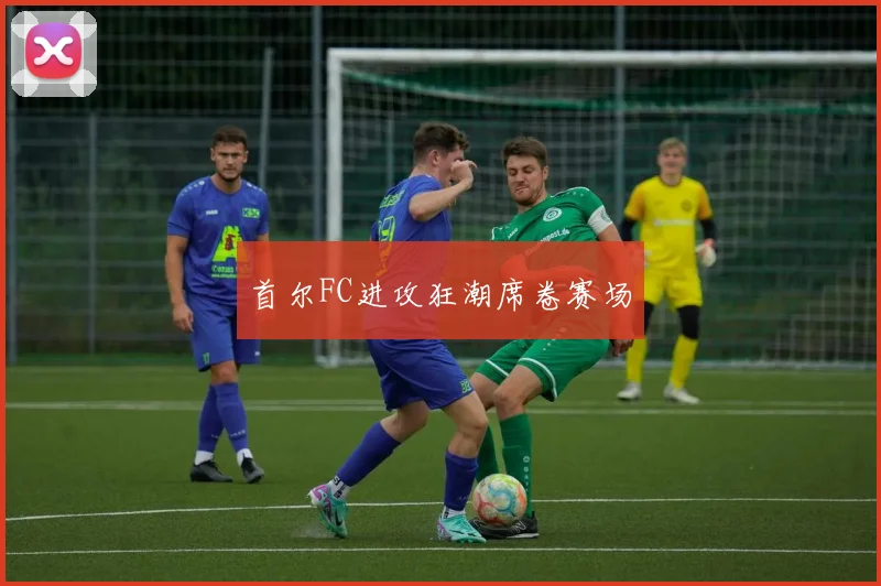 首尔FC进攻狂潮席卷赛场