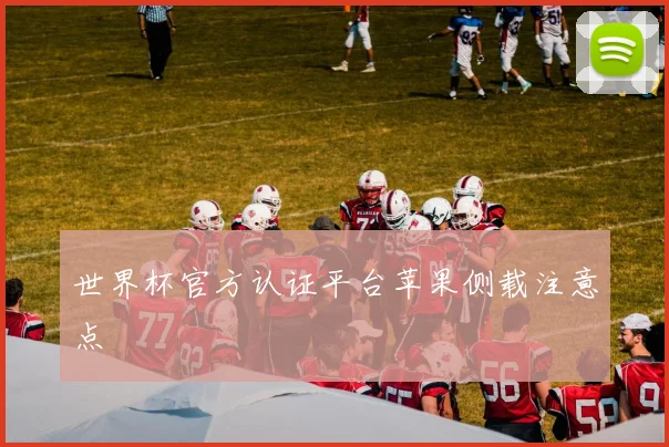 世界杯官方认证平台苹果侧载注意点
